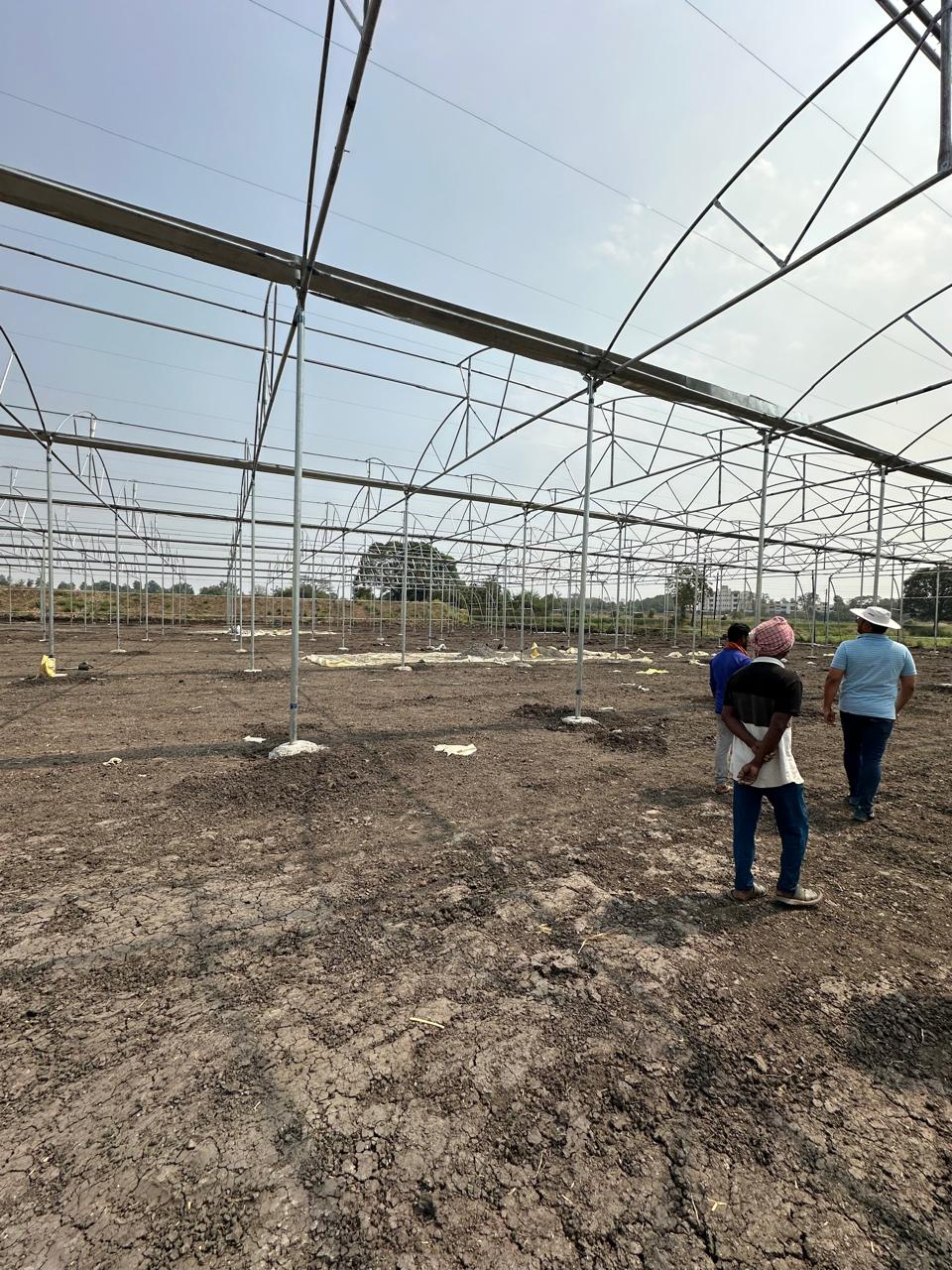 Greenhouse Project 78